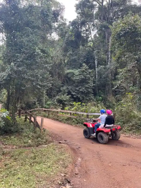 Trilha na natureza